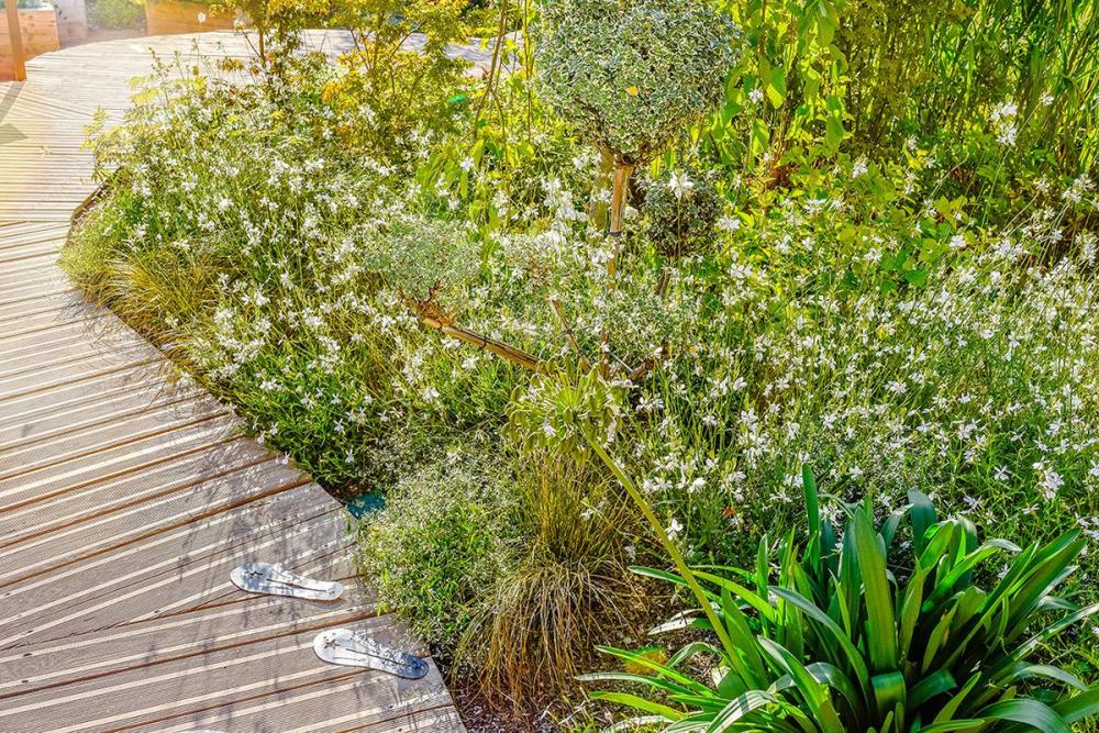 jardin aménagement