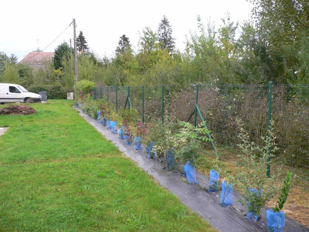 jardin