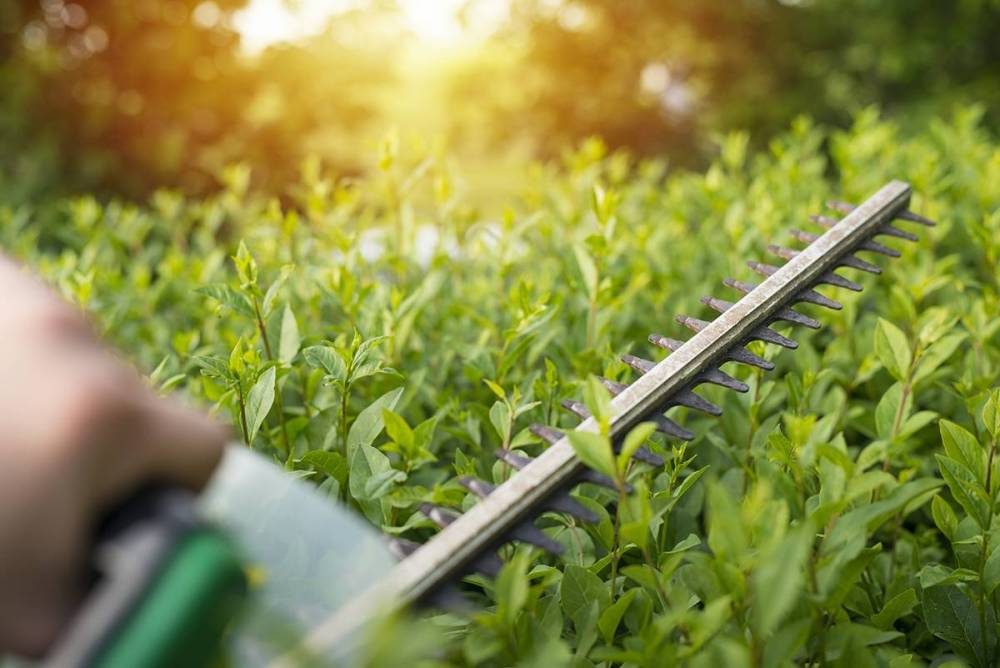 Entretien de jardins à Ligny-en-Cambrésis