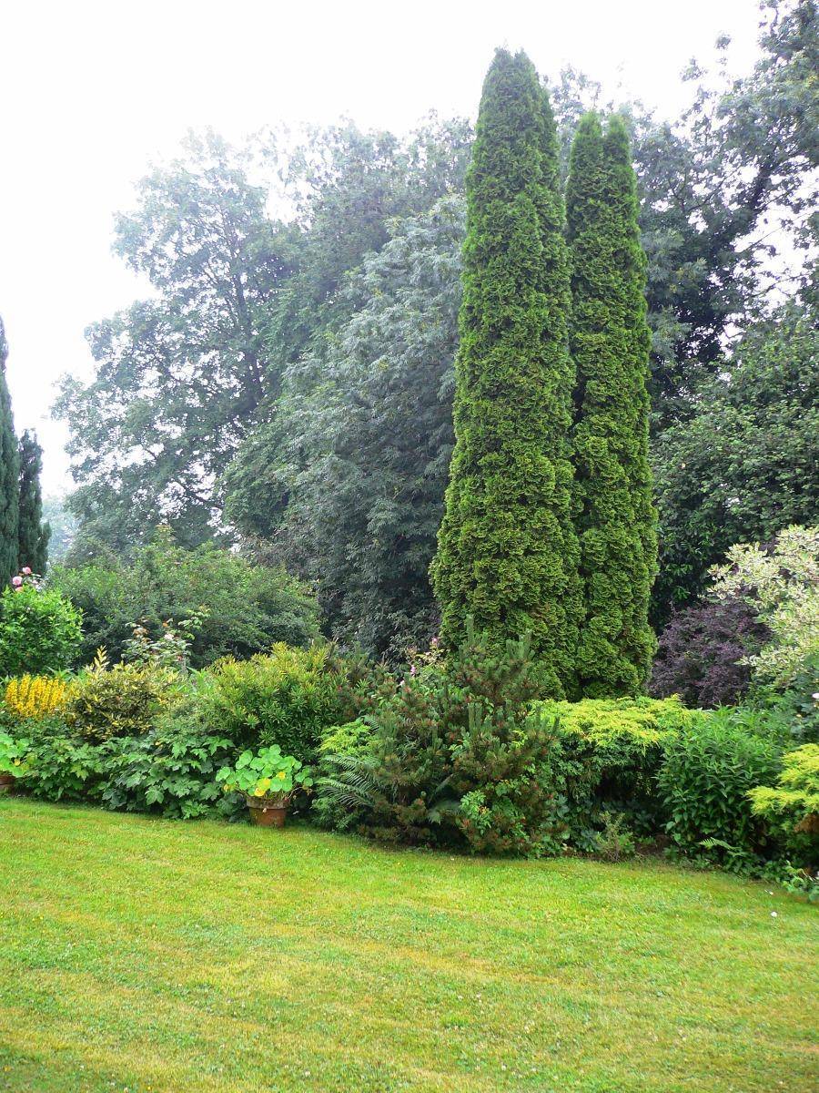 Plantation végétaux à Ligny-en-Cambrésis